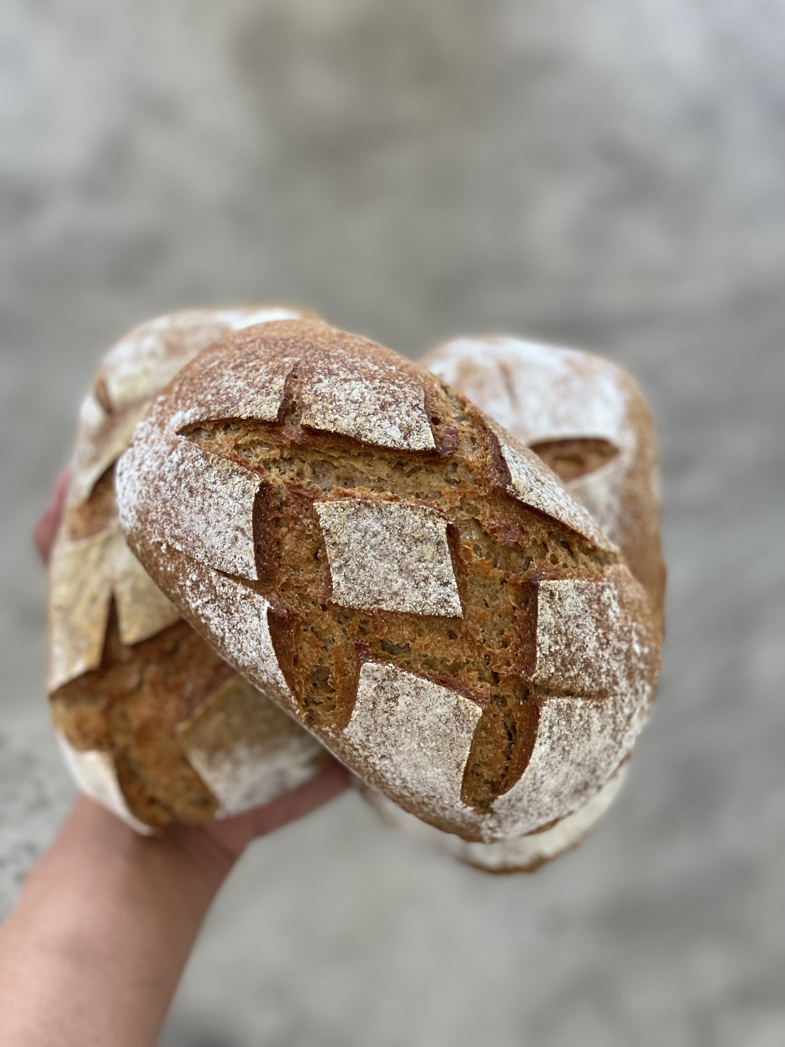 Pão de Centeio Médio